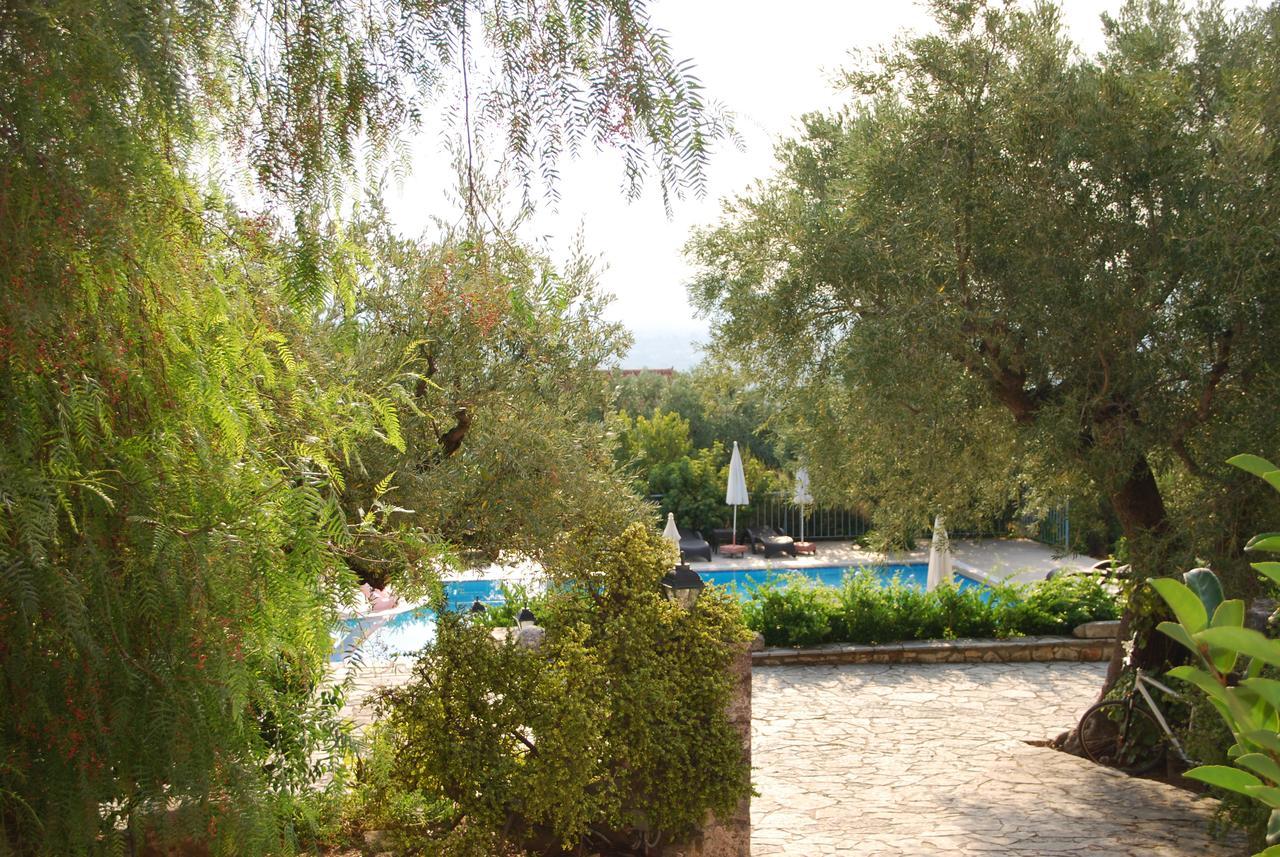 Anatoli Labreon Hotel Agia Marina  Exterior foto