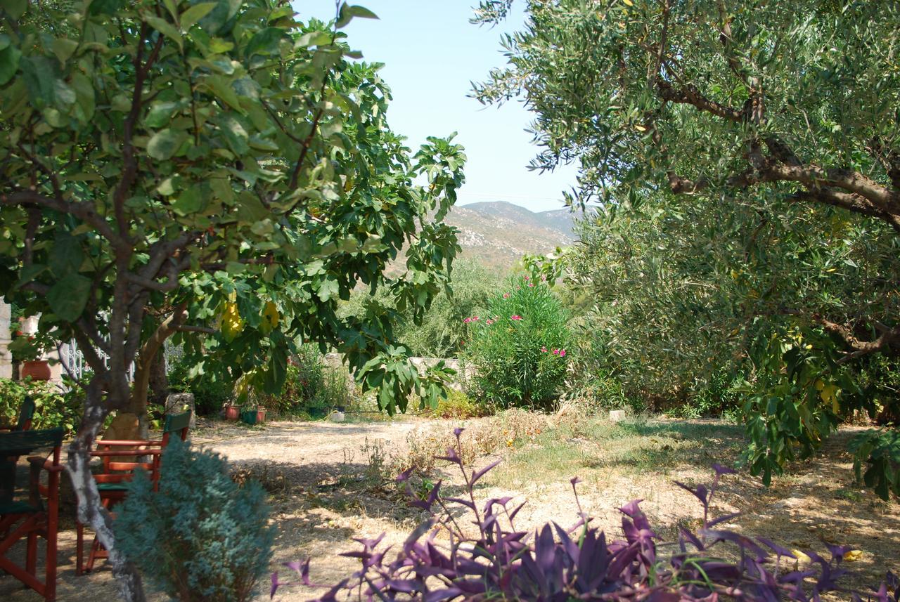 Anatoli Labreon Hotel Agia Marina  Exterior foto
